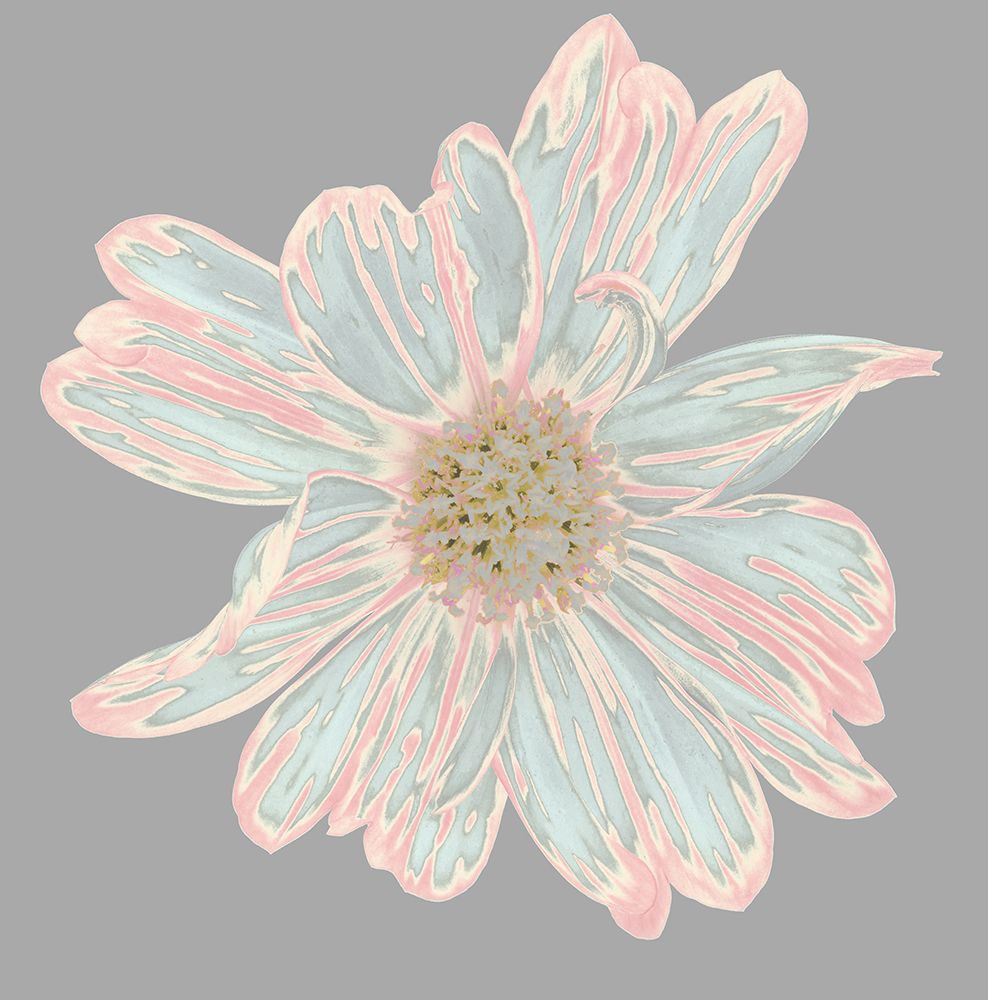 Colorful Flower III art print by Irena Orlov for $57.95 CAD