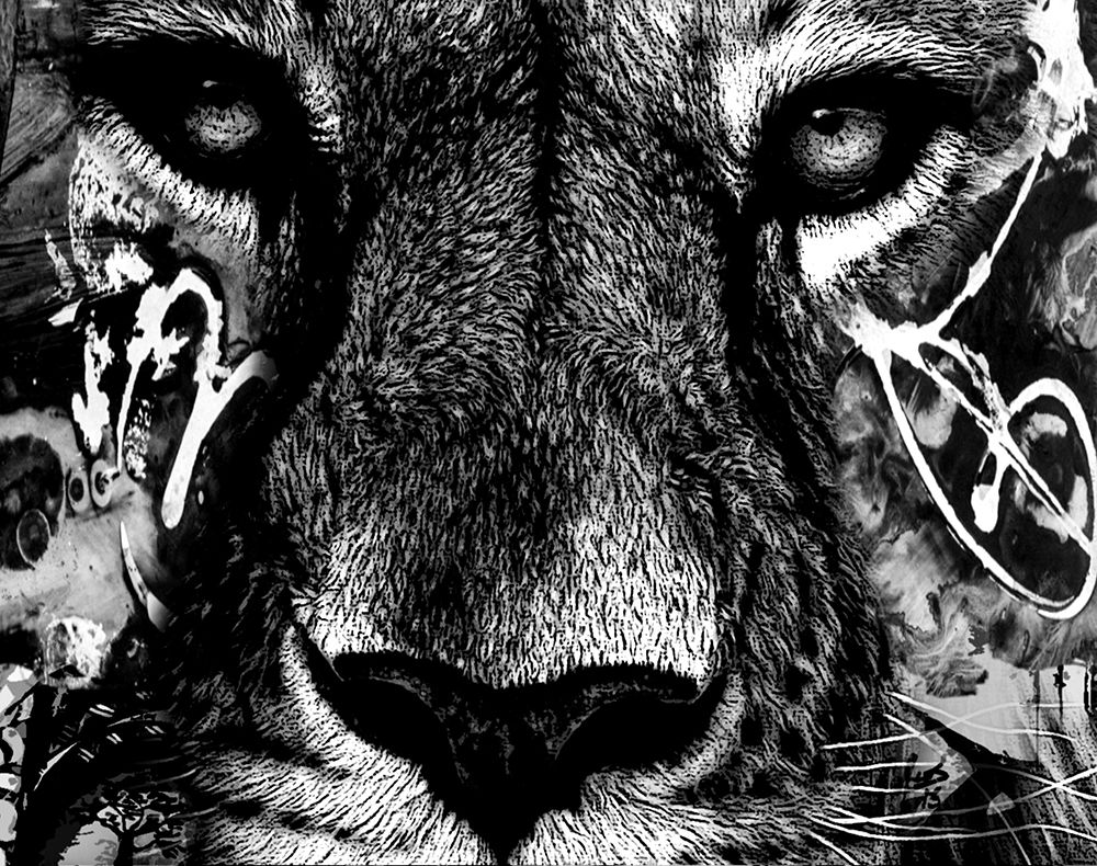 Feline art print by Karen Smith for $57.95 CAD