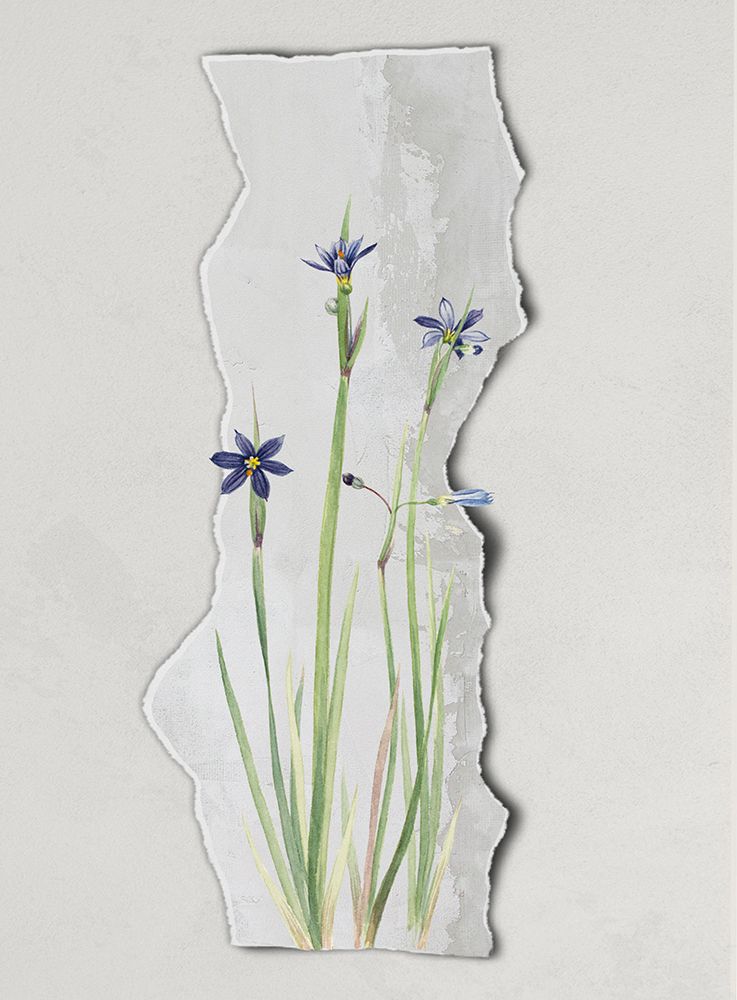 In the Strip I art print by Karen Smith for $57.95 CAD