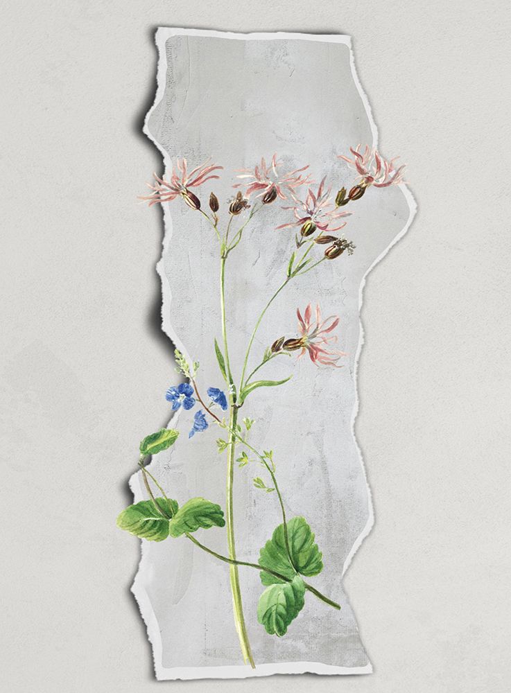 In the Strip II art print by Karen Smith for $57.95 CAD