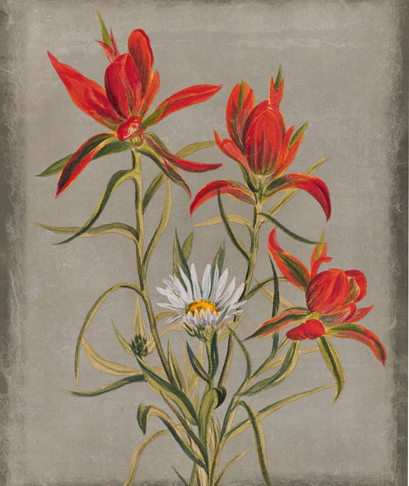 Inthered I art print by Karen Smith for $57.95 CAD
