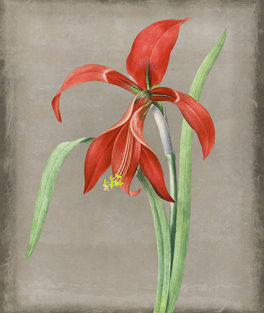 Inthered II art print by Karen Smith for $57.95 CAD