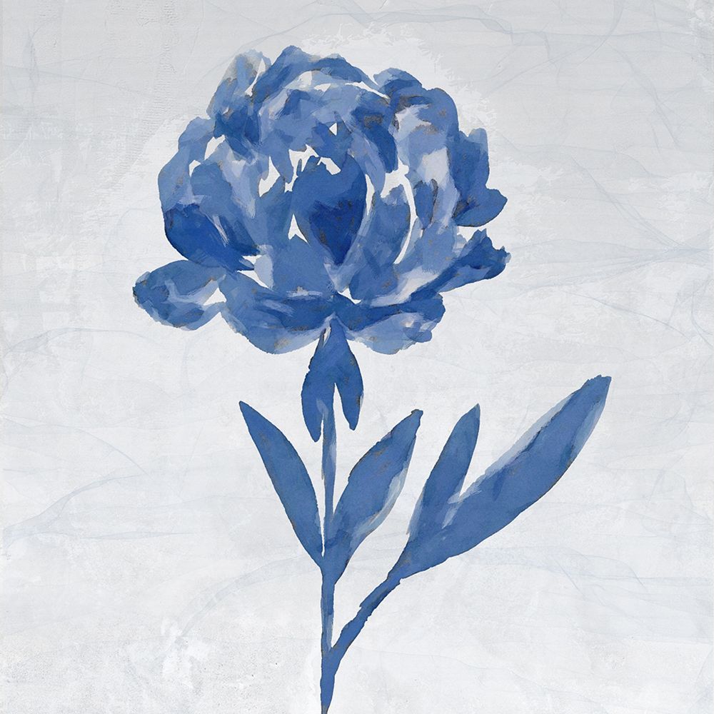 Rosa I art print by Karen Smith for $57.95 CAD