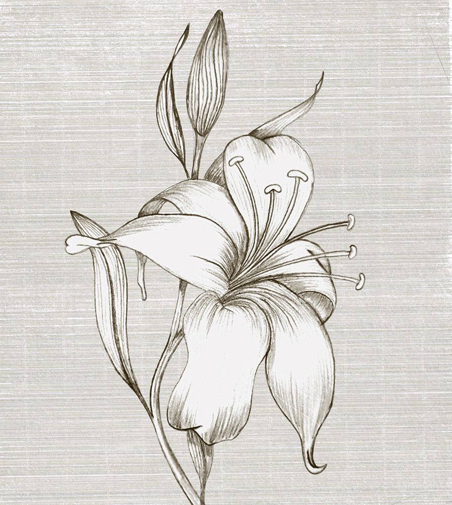 Sepia I art print by Karen Smith for $57.95 CAD
