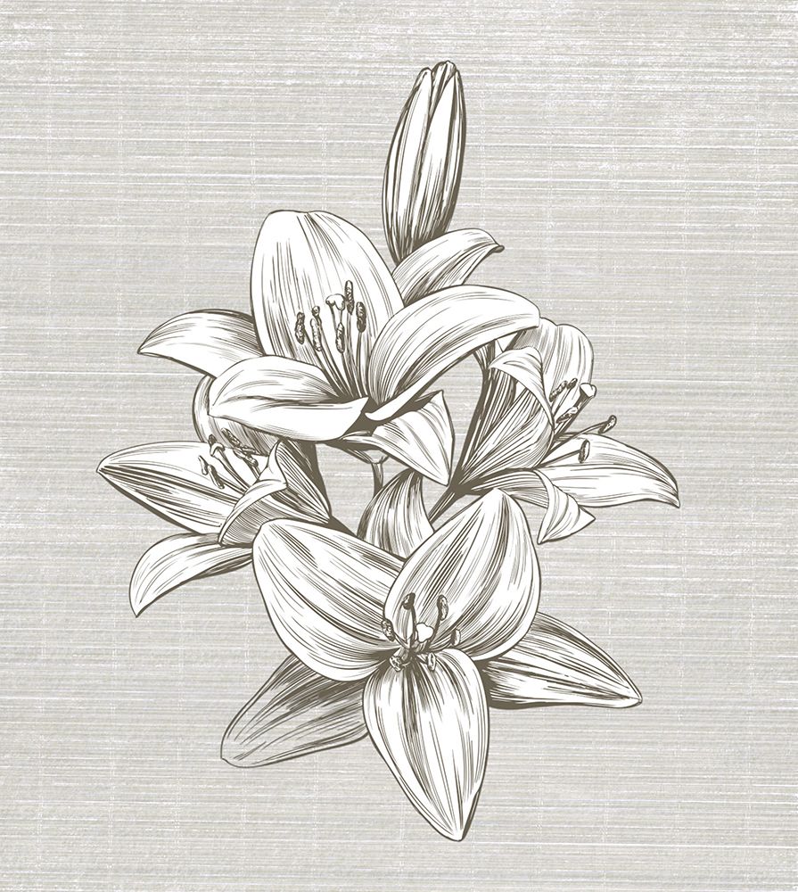 Sepia II art print by Karen Smith for $57.95 CAD
