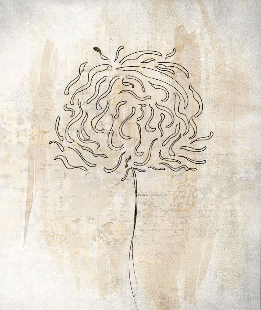Petals on Paper II art print by Karen Smith for $57.95 CAD