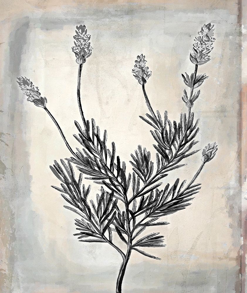 Floral Frame I art print by Karen Smith for $57.95 CAD