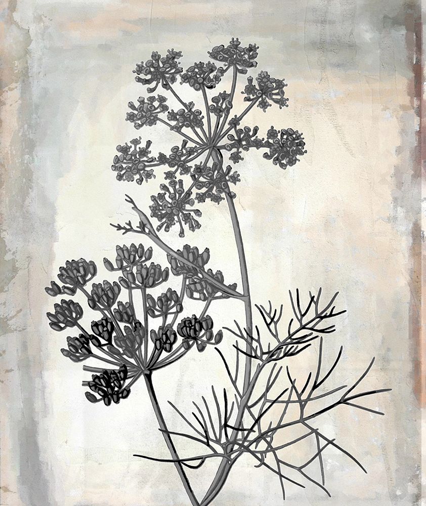 Floral Frame II art print by Karen Smith for $57.95 CAD