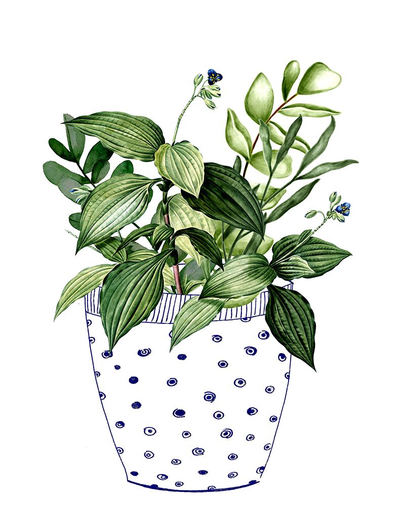 In the Pot I art print by Karen Smith for $57.95 CAD