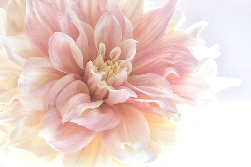 Sunburst art print by Judy Stalus for $57.95 CAD