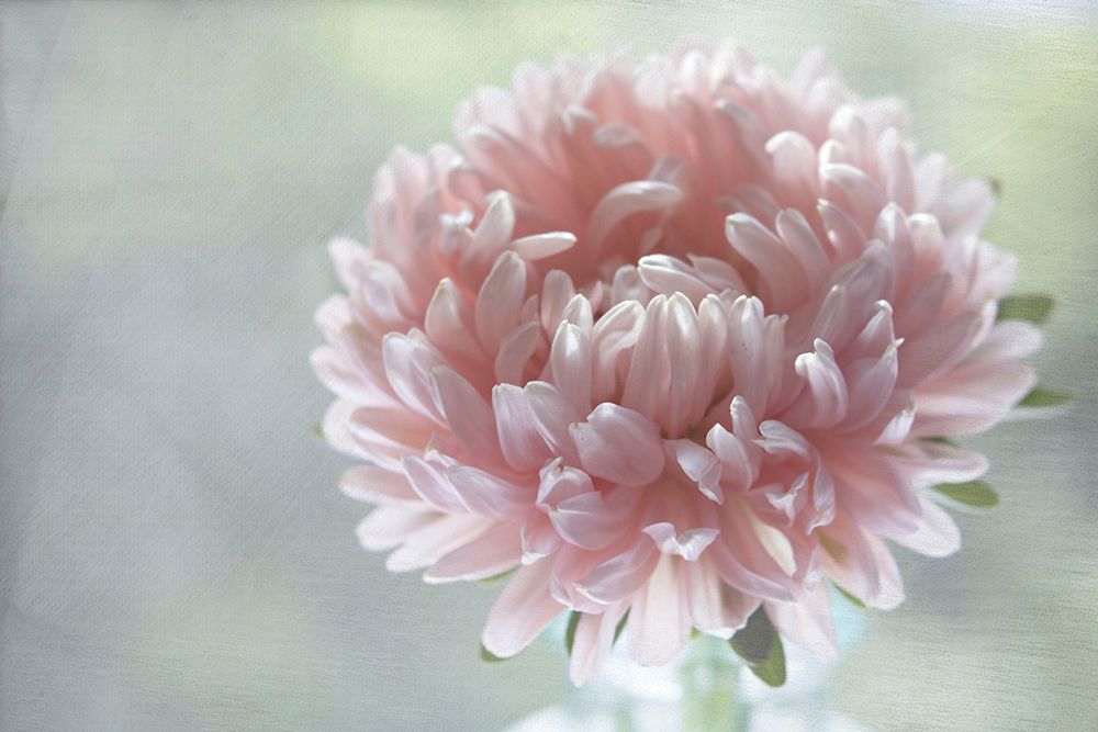 Miracle art print by Judy Stalus for $57.95 CAD