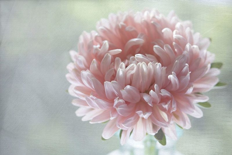 Miracle art print by Judy Stalus for $57.95 CAD