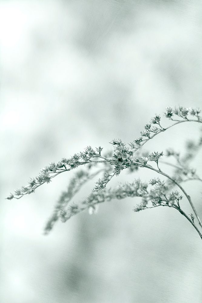 Meadow art print by Judy Stalus for $57.95 CAD