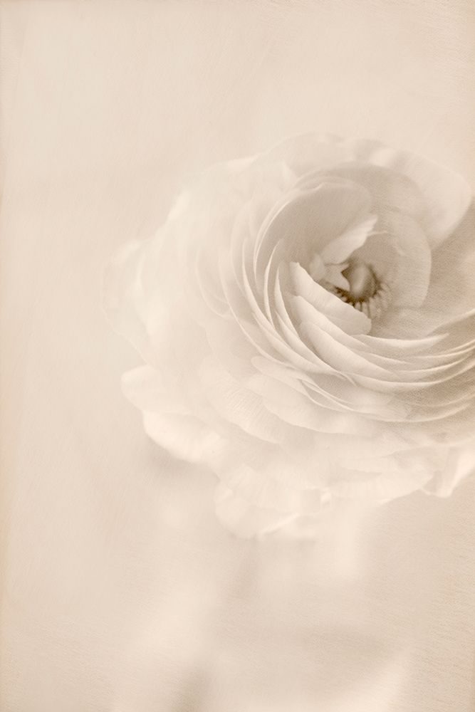 Whisper art print by Judy Stalus for $57.95 CAD