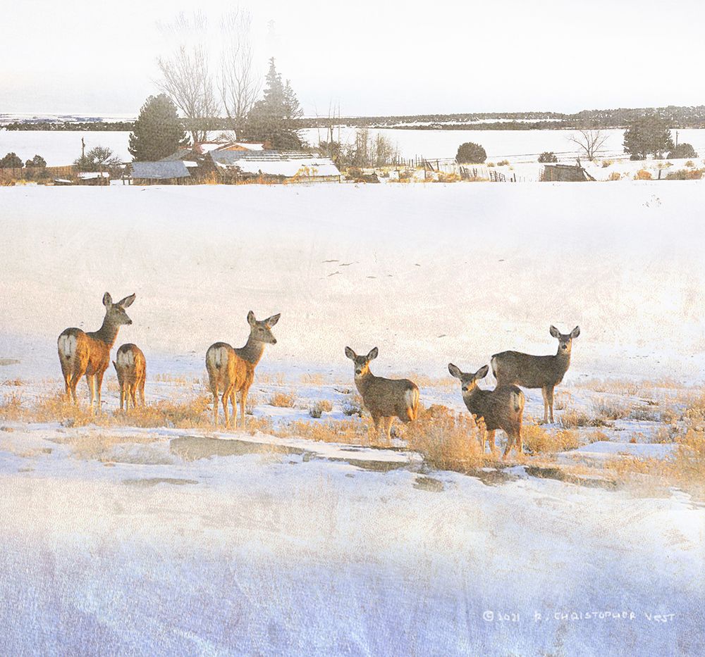 Deer above Farm art print by Christopher Vest for $57.95 CAD