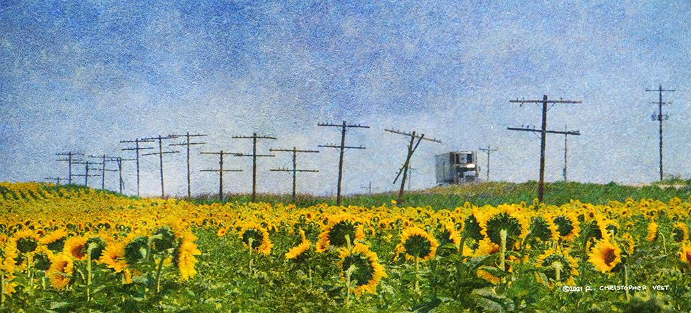 Phone Poles and Sunflowers art print by Christopher Vest for $57.95 CAD