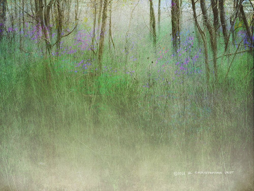 Glimpse of the Lake art print by Christopher Vest for $57.95 CAD