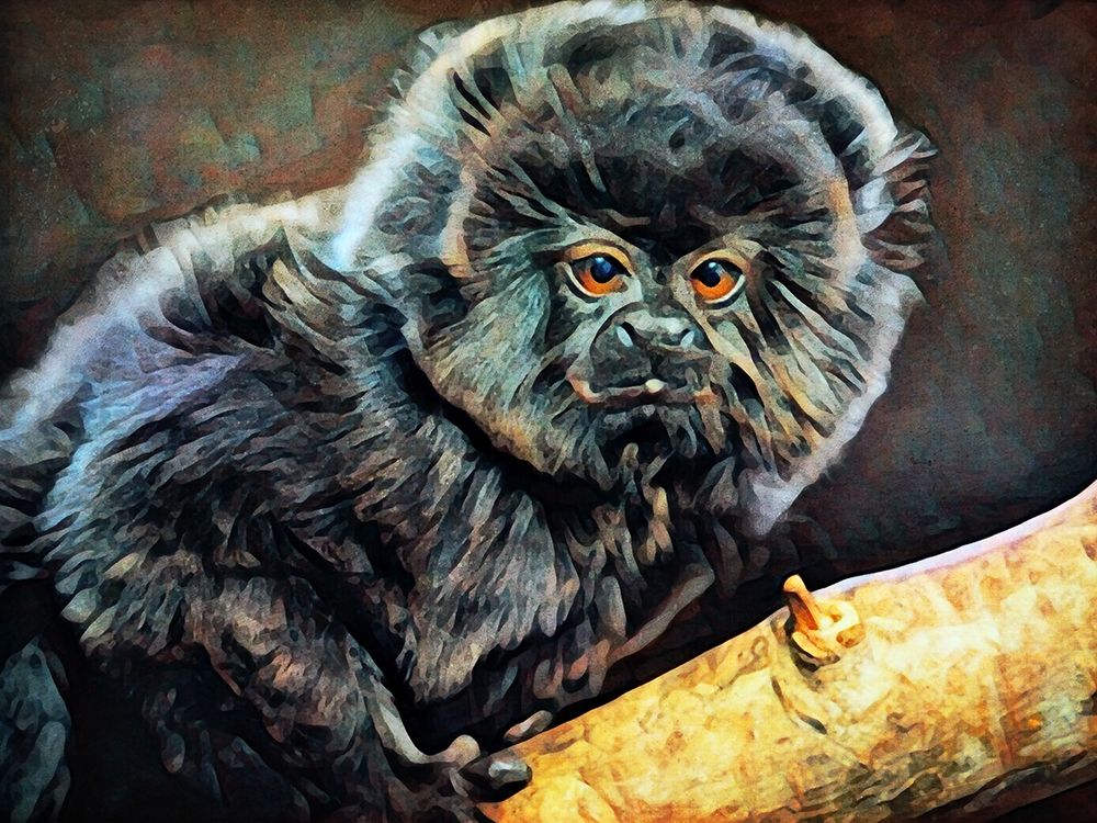 Monkey Mesmerized art print by Ashley Aldridge for $57.95 CAD