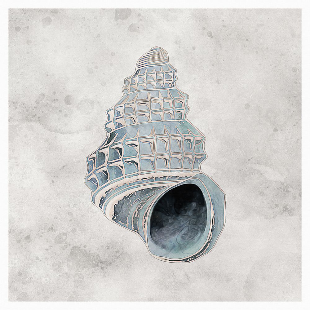 Blue Watercolour Seashells IV art print by Ashley Aldridge for $57.95 CAD