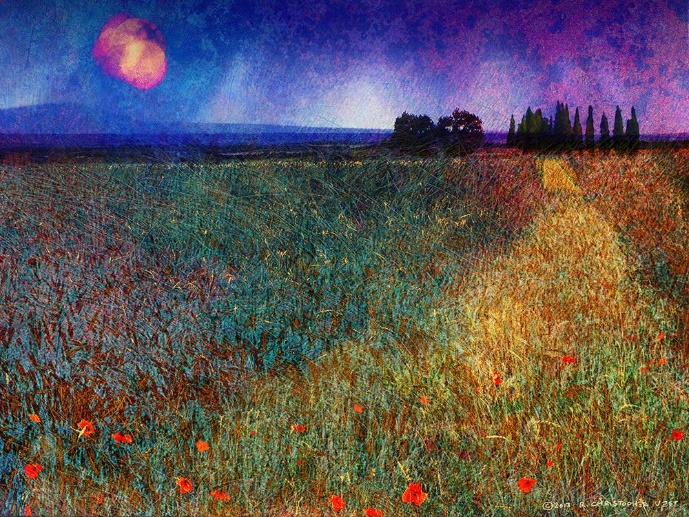 Wheat Field and Trees art print by Christopher Vest for $57.95 CAD
