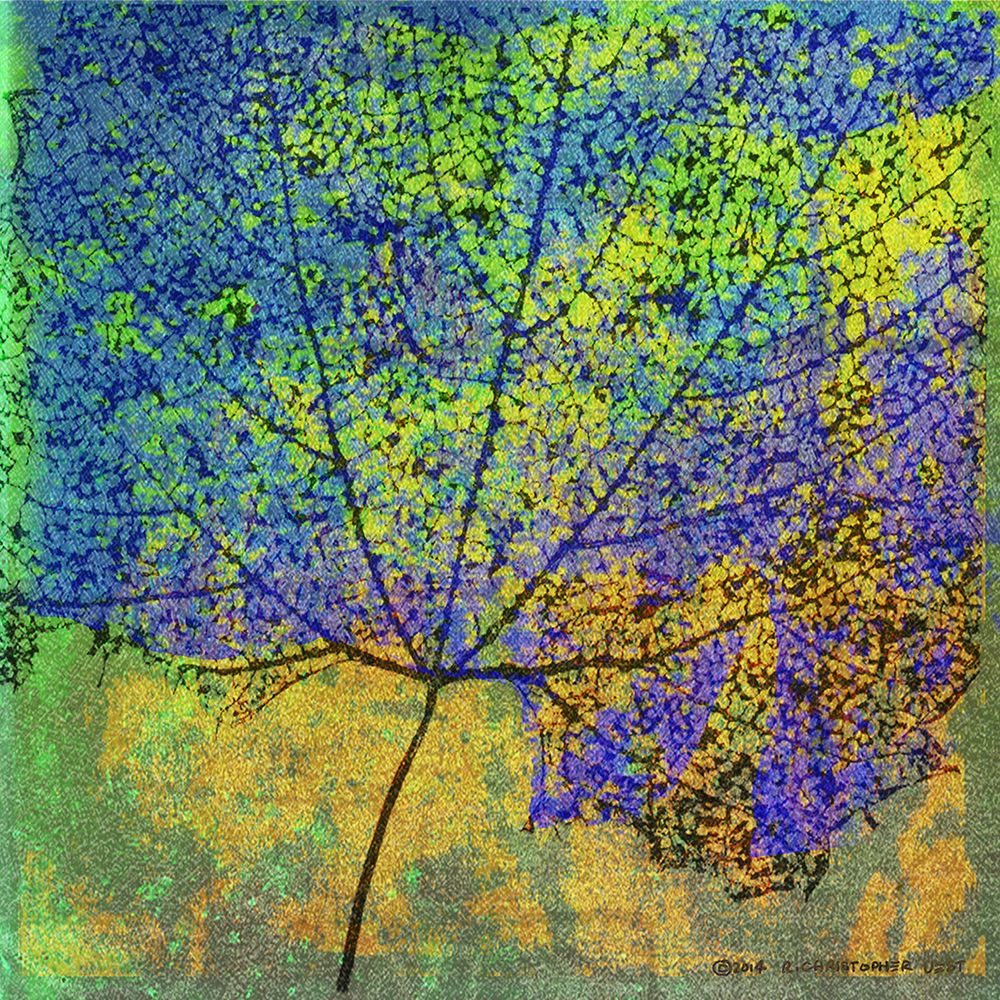 Cottonwood Leaf II art print by Christopher Vest for $57.95 CAD