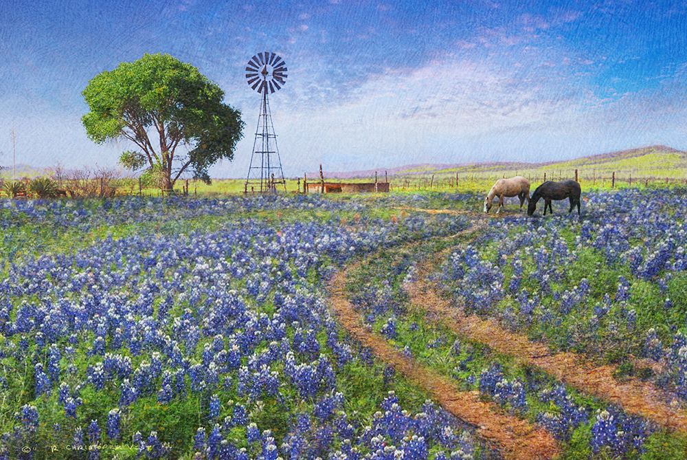 Windmill and Landscape art print by Christopher Vest for $57.95 CAD