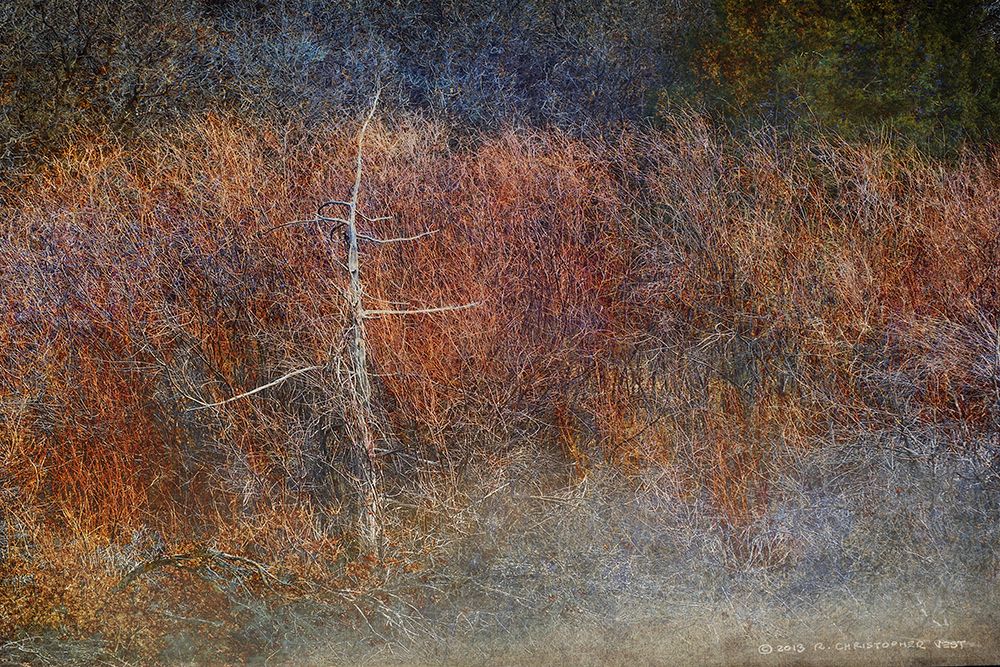 Grey Green Forest Abstract art print by Christopher Vest for $57.95 CAD