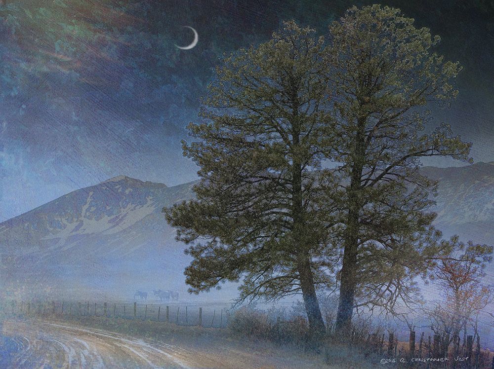 Road at Cherry Creek art print by Christopher Vest for $57.95 CAD