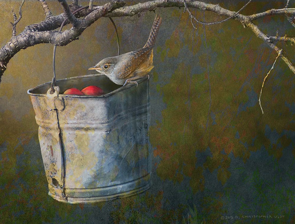 Apple Bucket Wren art print by Christopher Vest for $57.95 CAD