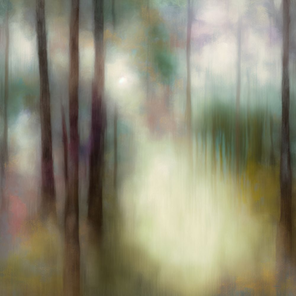 Whispers in the Wind art print by Andrea Haase for $57.95 CAD