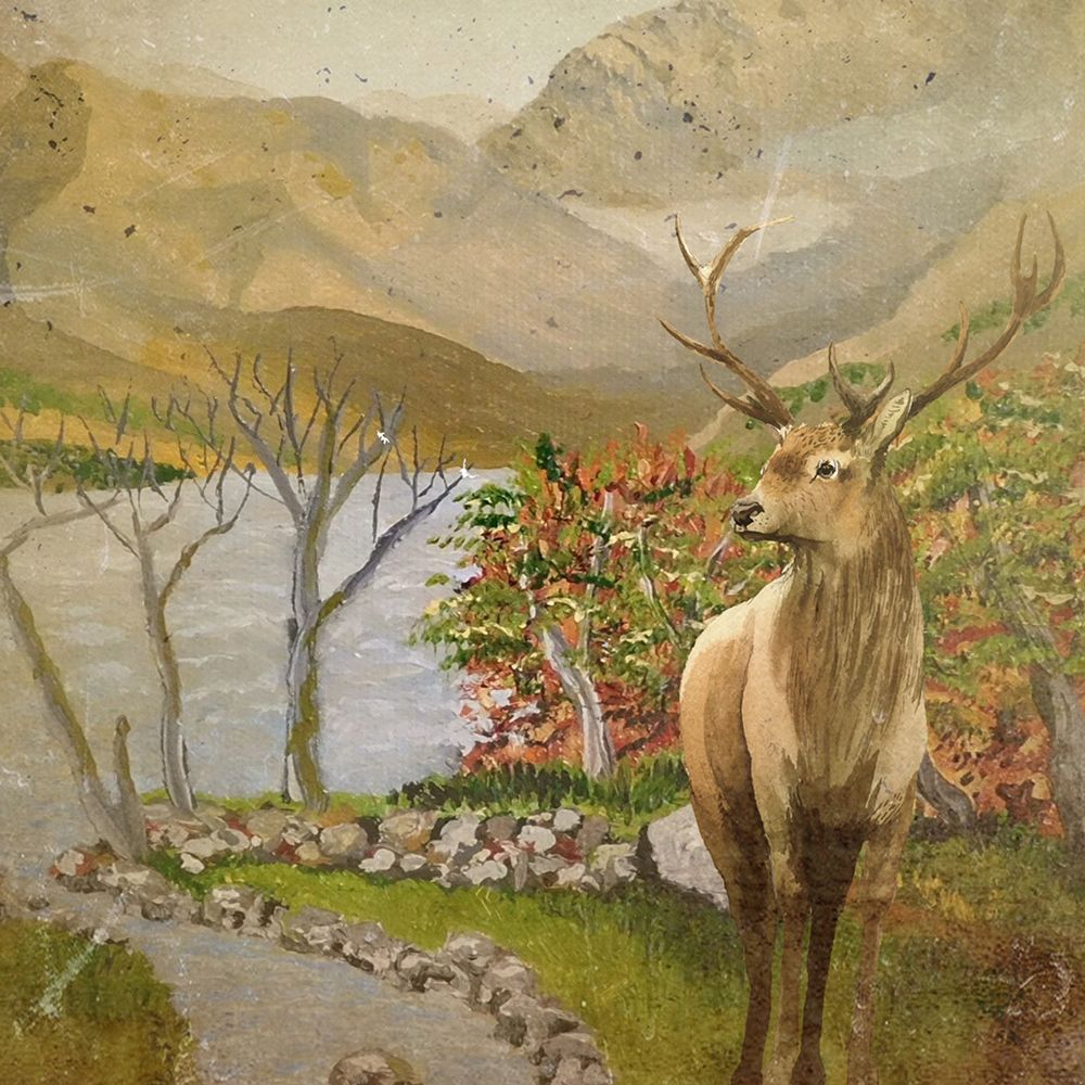 Stagscene art print by Karen Smith for $57.95 CAD