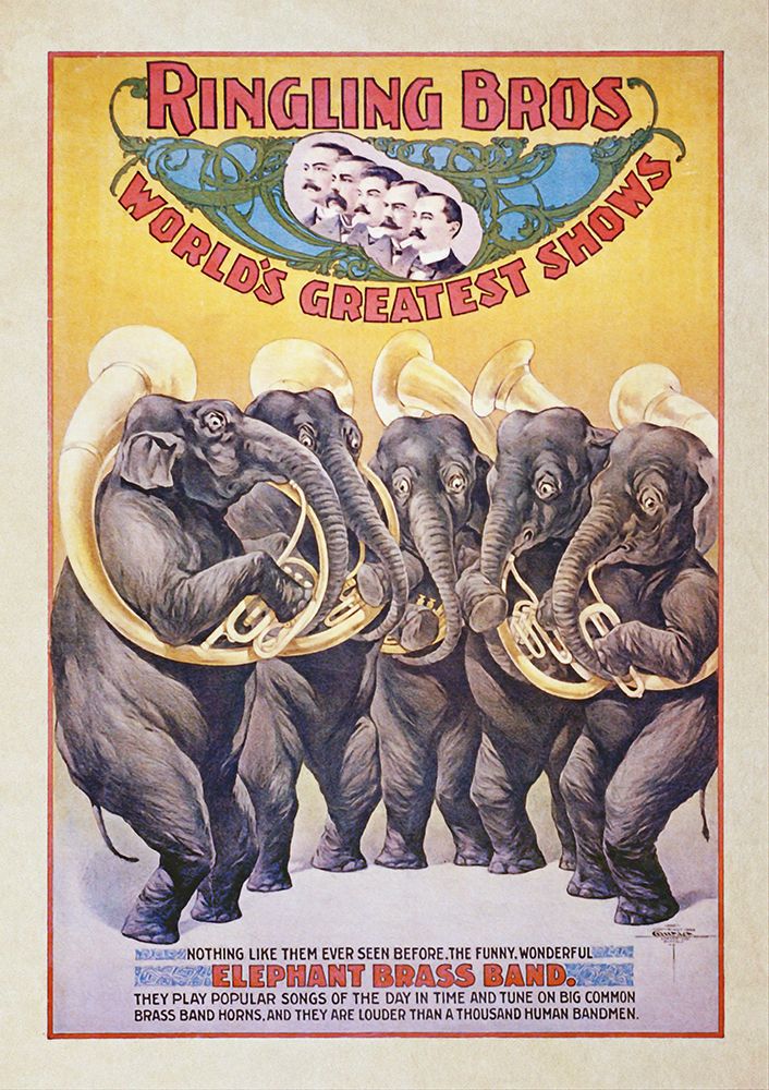 Funky Poster VII art print by Steve Hunziker for $57.95 CAD