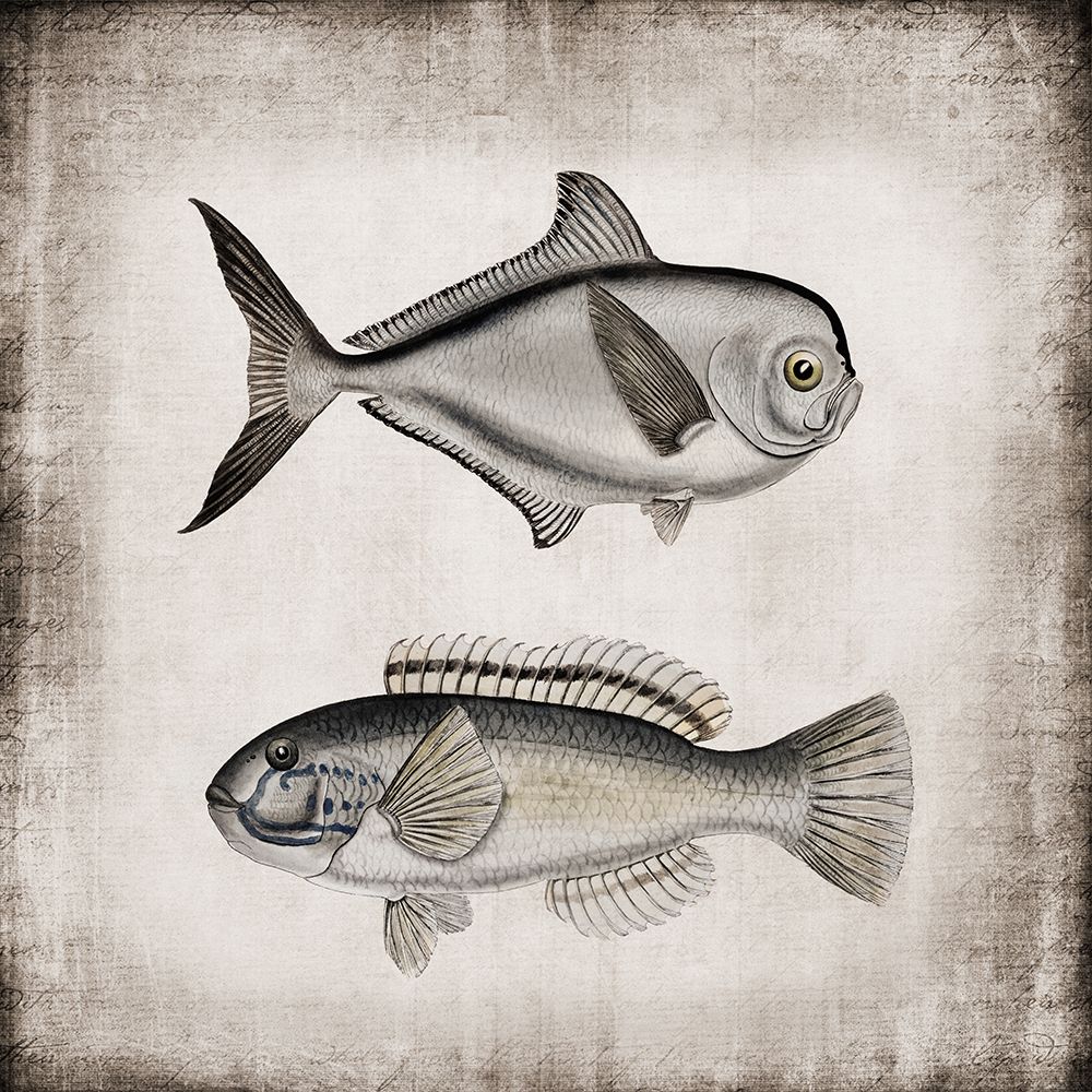 Vintage Sea Dwellers II art print by Andrea Haase for $57.95 CAD