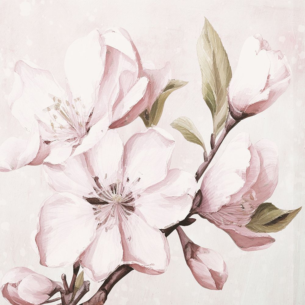 Magnolia I art print by Karen Smith for $57.95 CAD