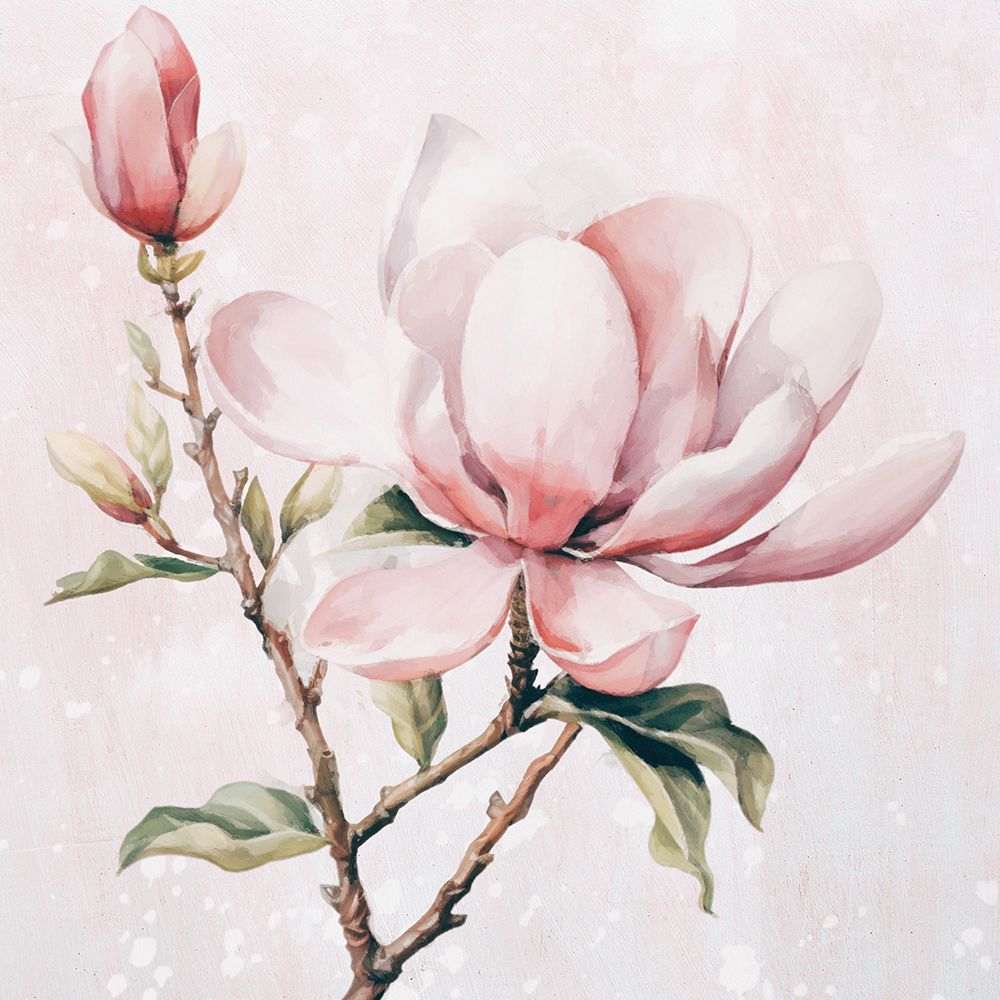 Magnolia II art print by Karen Smith for $57.95 CAD