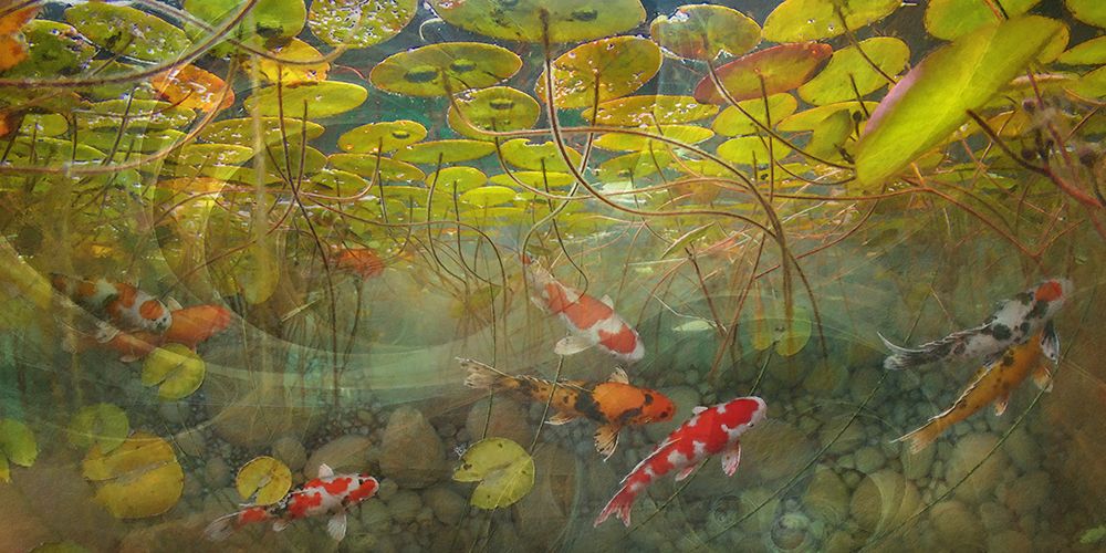 Celestial Fish I art print by Steve Hunziker for $57.95 CAD