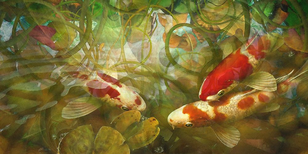 Celestial Fish II art print by Steve Hunziker for $57.95 CAD