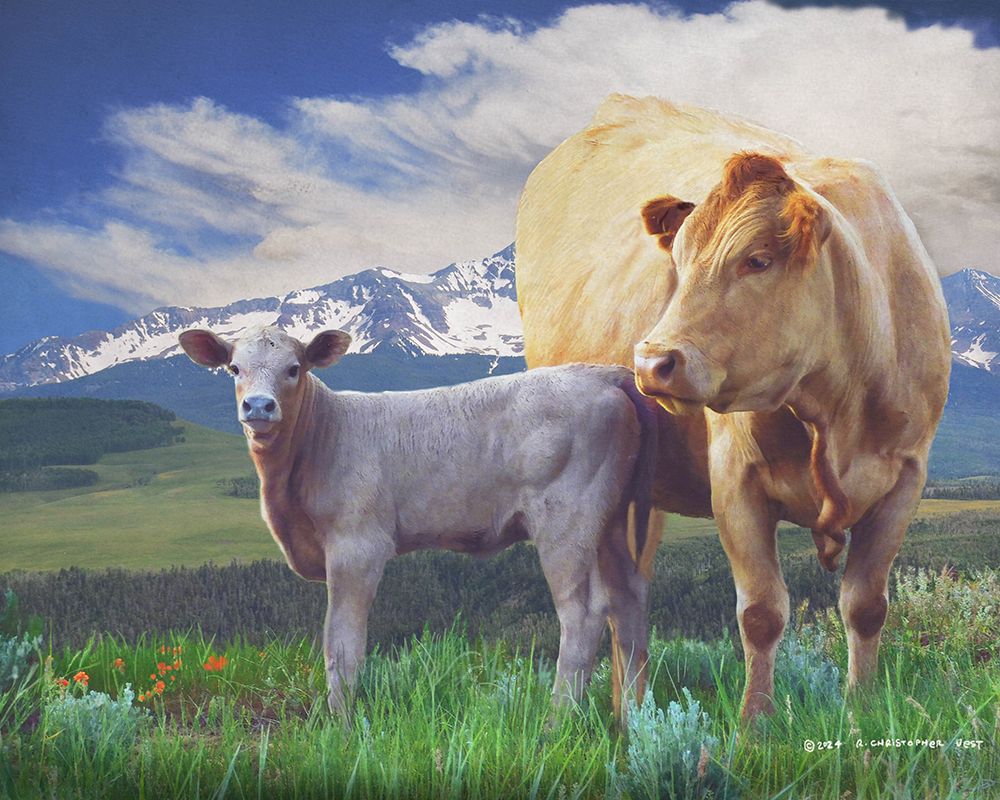 Cow and Calf in the Mountains art print by Christopher Vest for $57.95 CAD