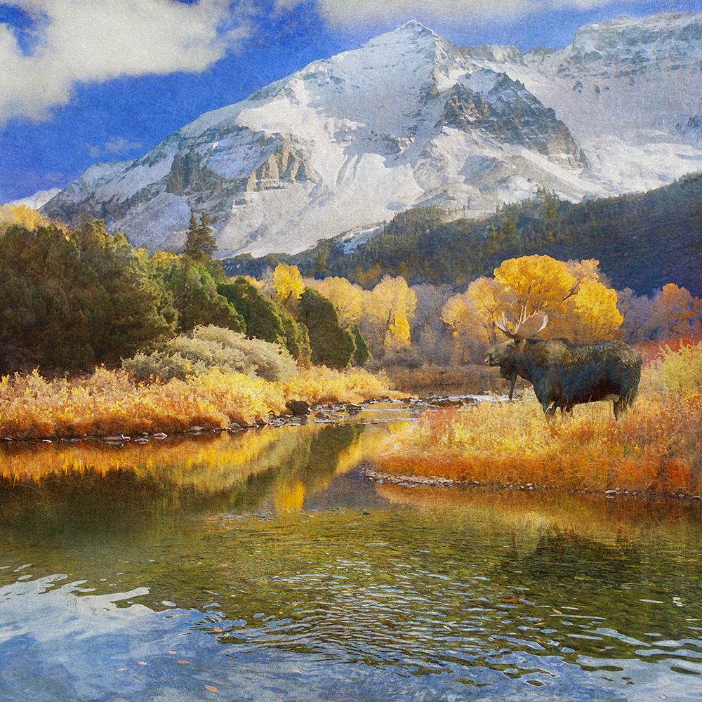 Moose on Dolores River1 art print by Christopher Vest for $57.95 CAD