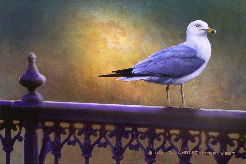 Gull on Wrought-iron Rail art print by Christopher Vest for $57.95 CAD