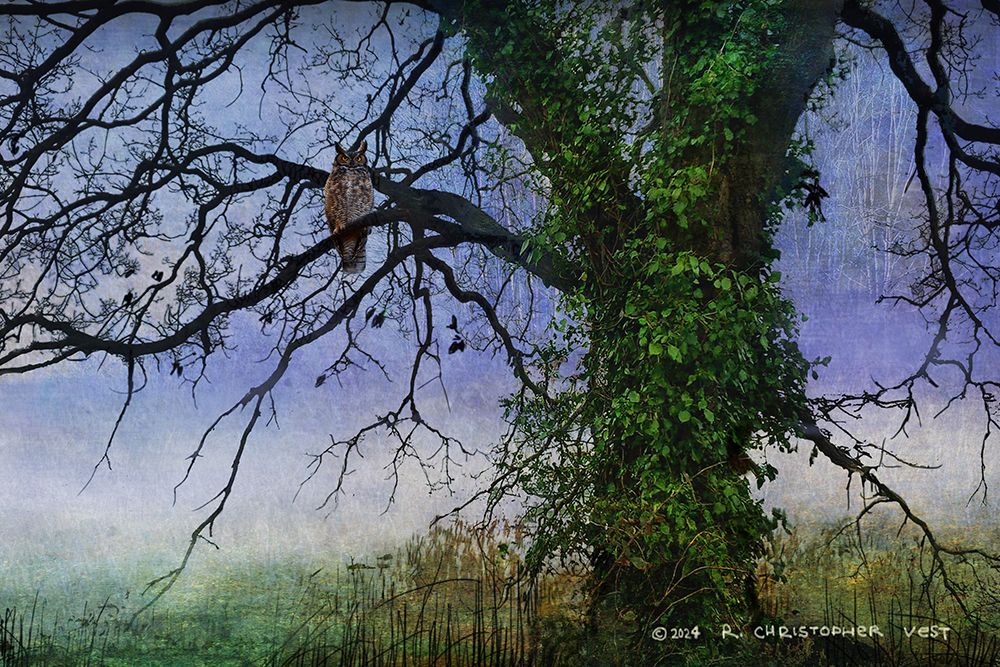 Dead Tree in the Swamp art print by Christopher Vest for $57.95 CAD