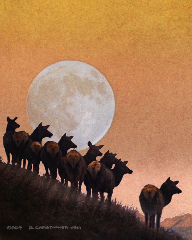 Hillside Elk, Moonrise art print by Christopher Vest for $57.95 CAD