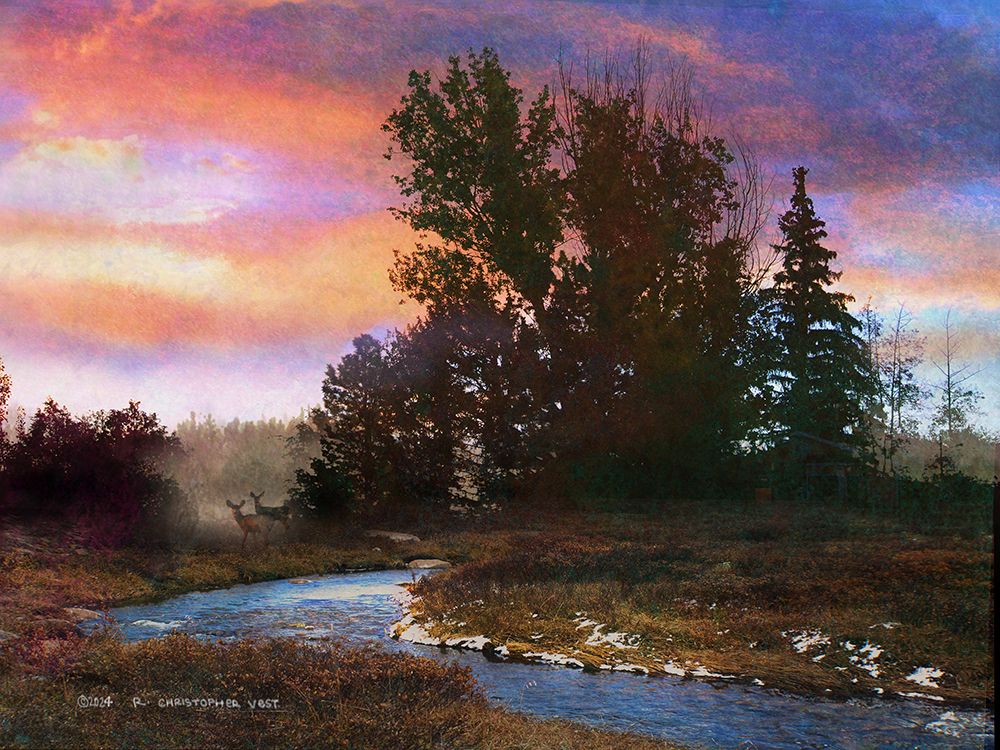 Stream Through Forest art print by Christopher Vest for $57.95 CAD