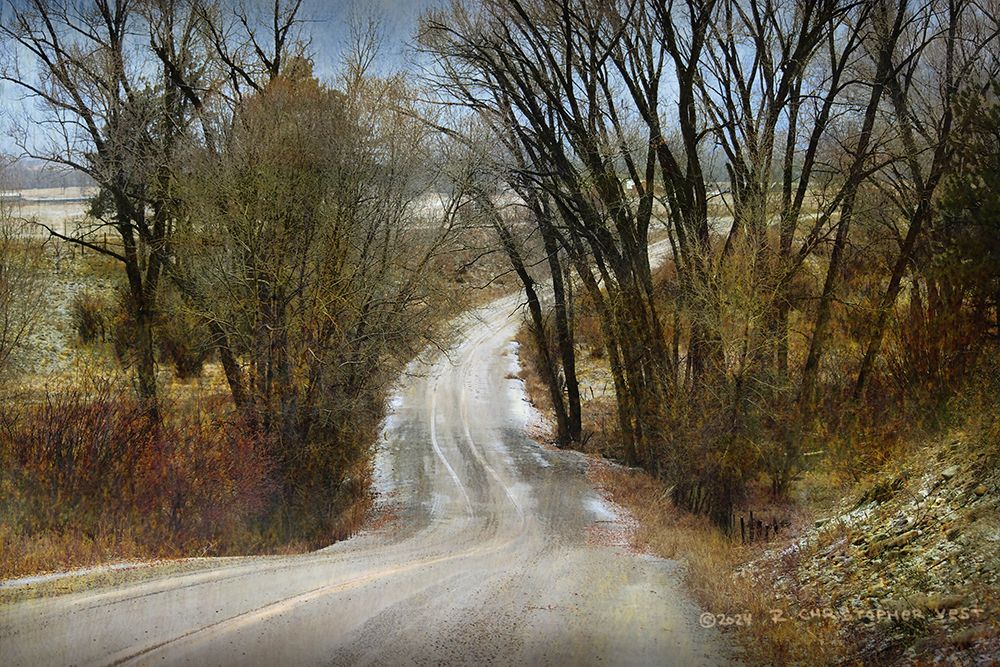 Road Thru Gulch art print by Christopher Vest for $57.95 CAD