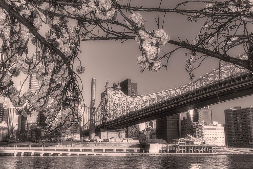Bridge And Blossoms art print by Franklin Kearney for $57.95 CAD