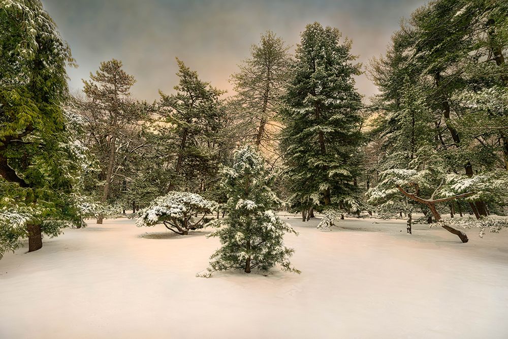 Central Park in Winter art print by Franklin Kearney for $57.95 CAD