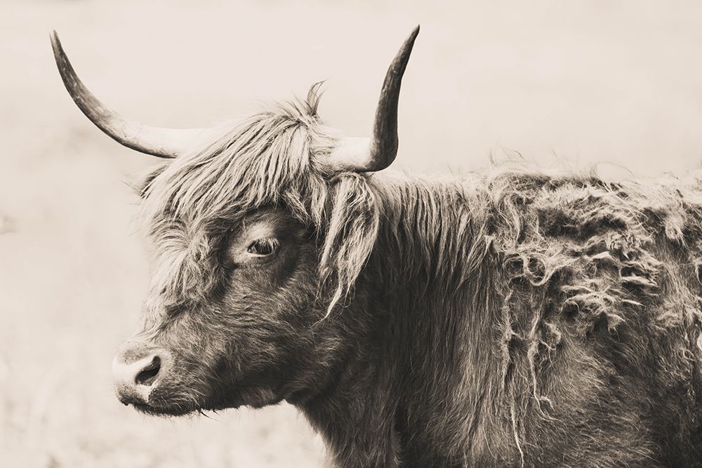 Heilan art print by Ryan Weddle for $57.95 CAD