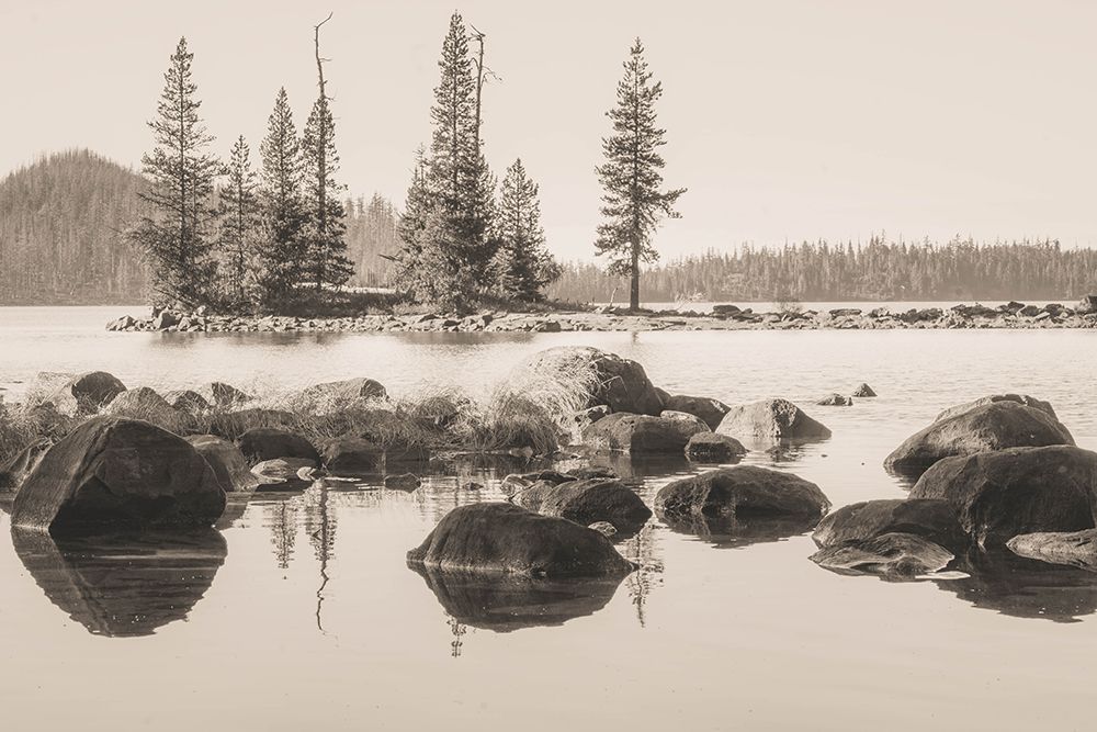 Between Pines and Silence art print by Ryan Weddle for $57.95 CAD