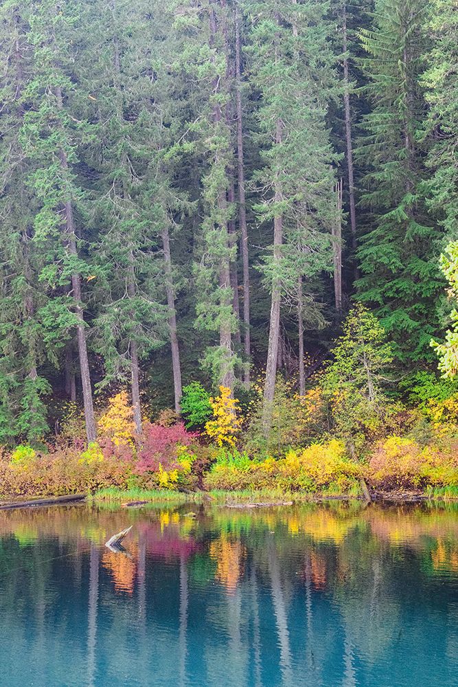 Shores of Clear Lake art print by Ryan Weddle for $57.95 CAD