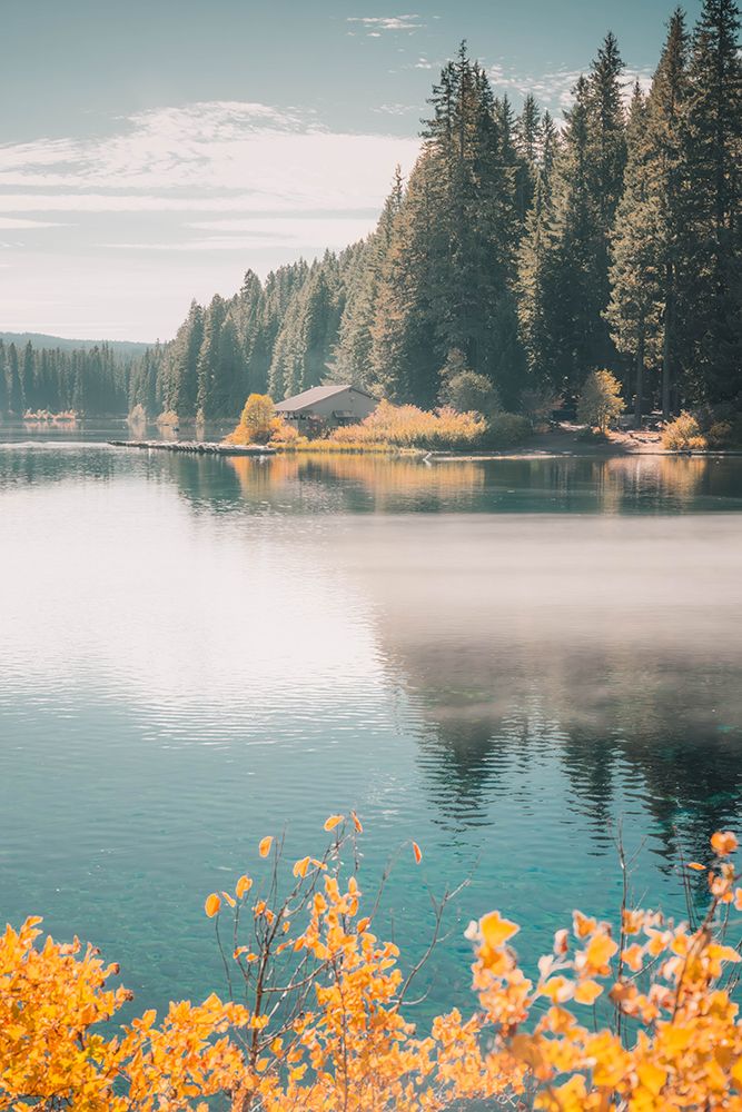 Morning Fog on Clear Lake art print by Ryan Weddle for $57.95 CAD